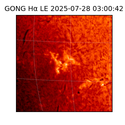 gong - 2025-07-28T03:00:42