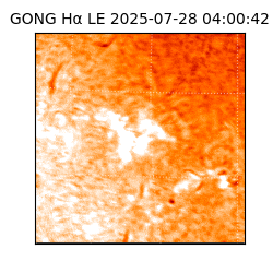 gong - 2025-07-28T04:00:42
