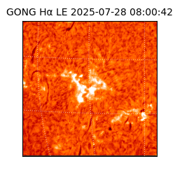 gong - 2025-07-28T08:00:42