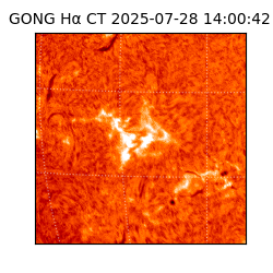 gong - 2025-07-28T14:00:42