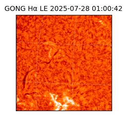gong - 2025-07-28T01:00:42