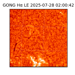 gong - 2025-07-28T02:00:42