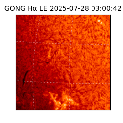 gong - 2025-07-28T03:00:42