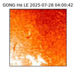 gong - 2025-07-28T04:00:42