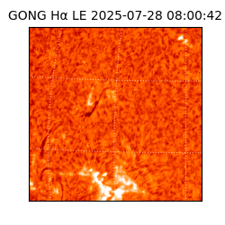 gong - 2025-07-28T08:00:42