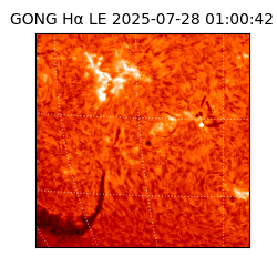 gong - 2025-07-28T01:00:42