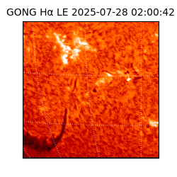 gong - 2025-07-28T02:00:42