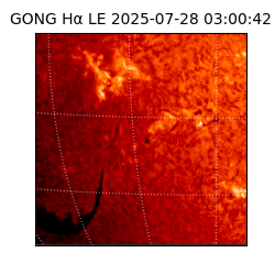 gong - 2025-07-28T03:00:42