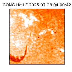 gong - 2025-07-28T04:00:42