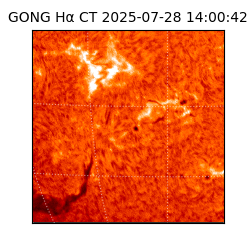 gong - 2025-07-28T14:00:42
