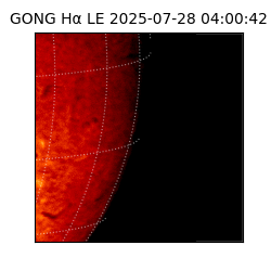 gong - 2025-07-28T04:00:42
