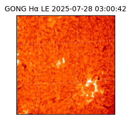 gong - 2025-07-28T03:00:42