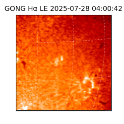 gong - 2025-07-28T04:00:42