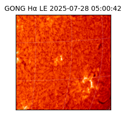 gong - 2025-07-28T05:00:42