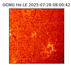 gong - 2025-07-28T08:00:42