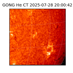 gong - 2025-07-28T20:00:42