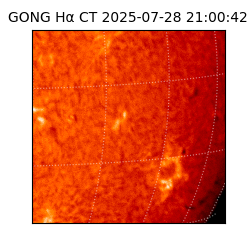 gong - 2025-07-28T21:00:42