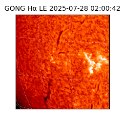 gong - 2025-07-28T02:00:42