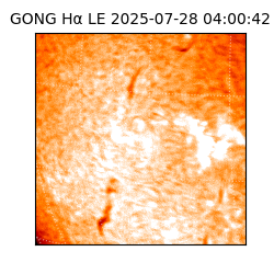 gong - 2025-07-28T04:00:42