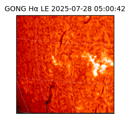 gong - 2025-07-28T05:00:42