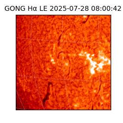 gong - 2025-07-28T08:00:42