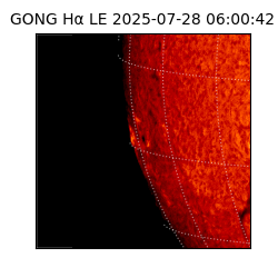 gong - 2025-07-28T06:00:42