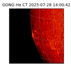 gong - 2025-07-28T14:00:42