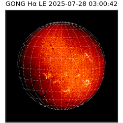 gong - 2025-07-28T03:00:42