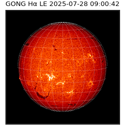 gong - 2025-07-28T09:00:42
