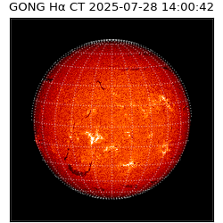 gong - 2025-07-28T14:00:42
