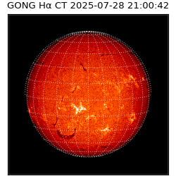 gong - 2025-07-28T21:00:42