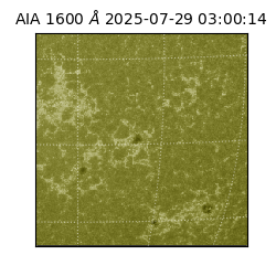 saia - 2025-07-29T03:00:14.125000