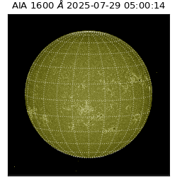 saia - 2025-07-29T05:00:14.126000
