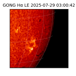 gong - 2025-07-29T03:00:42