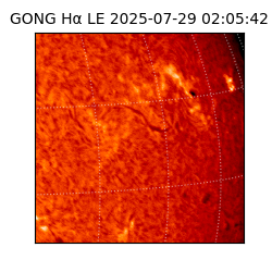 gong - 2025-07-29T02:05:42