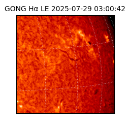 gong - 2025-07-29T03:00:42