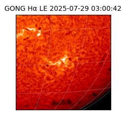 gong - 2025-07-29T03:00:42