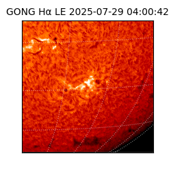 gong - 2025-07-29T04:00:42