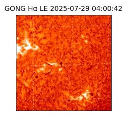 gong - 2025-07-29T04:00:42