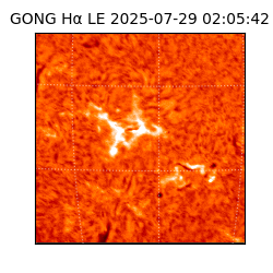 gong - 2025-07-29T02:05:42