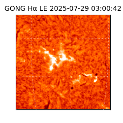 gong - 2025-07-29T03:00:42