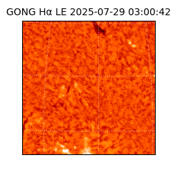 gong - 2025-07-29T03:00:42