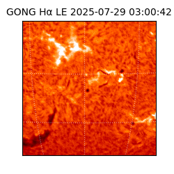gong - 2025-07-29T03:00:42