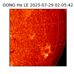 gong - 2025-07-29T02:05:42