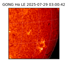 gong - 2025-07-29T03:00:42