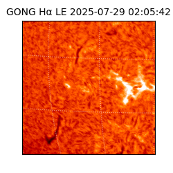 gong - 2025-07-29T02:05:42