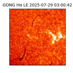 gong - 2025-07-29T03:00:42
