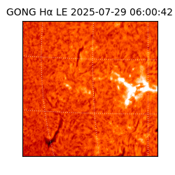 gong - 2025-07-29T06:00:42