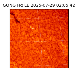 gong - 2025-07-29T02:05:42