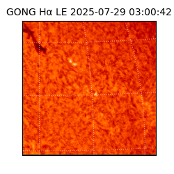 gong - 2025-07-29T03:00:42